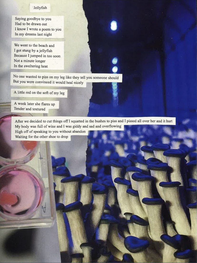 jellyfish poem