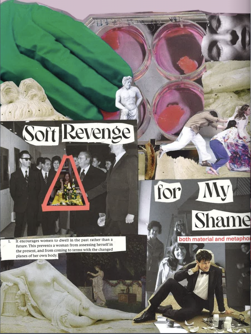 collage about shame